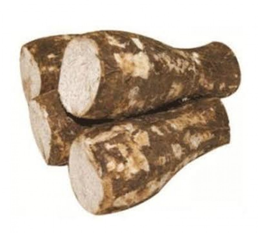 Arrowwurzel from Kenia